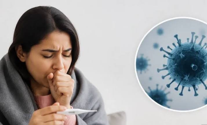 Viral Fever vs Swine Flu: कैसे करें पहचान? जानिए दोनों के लक्षणों में क्या है बड़ा अंतर