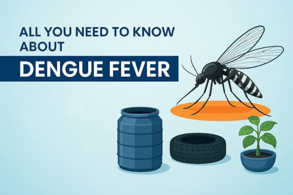 Dengue Symptoms: बदलते मौसम का खतरनाक संकेत, बुखार उतरने के बाद भी इन लक्षणों को न करें नजरअंदाज