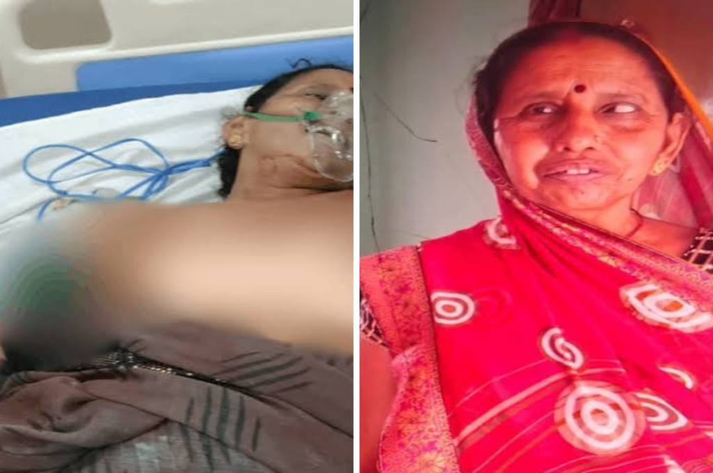 Bilaspur Crime: पोती को बचाने में दादी ने गंवाई जान, पुरानी रंजिश का खौफनाक अंजाम